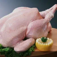 شاگرد برا مرغ فروشی