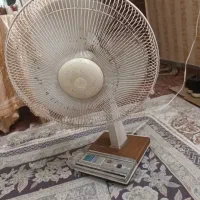 پنکه کلکسیونی