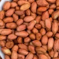 فروش برنج هاشمی وبادام آستانه آشرفیه درجه یک