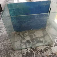 آکواریوم شرکتی با کلی وسایل