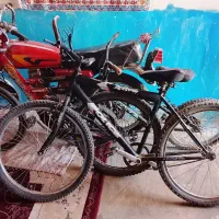 دوچرخه 26|دوچرخه، اسکیت، اسکوتر|خانمیرزا, |دیوار