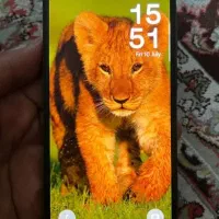 گوشی سامسونگ A25 5G