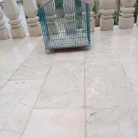 قفس پرنده