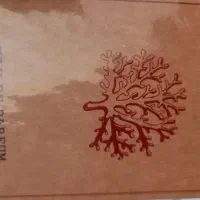 ادکلن مگاماره
