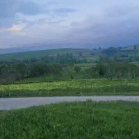 قروش زمین در لشتو