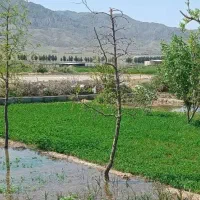 خیداسپس