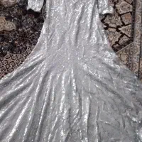 مجلسی دنباله دار