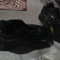 کفش سالم بدون هیچ مشکلی