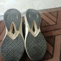 کفش کتانی اصل