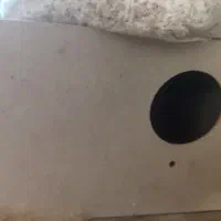 تعویض لونه عروس با گرینچیک