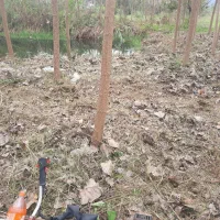 کار با دستگاه علفتراش با قیمت منصفانه