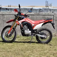 توسن 250
