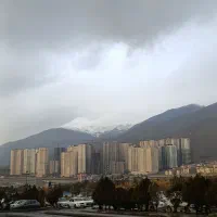 مالکین  برج لوکس ستاره مروارید شهر