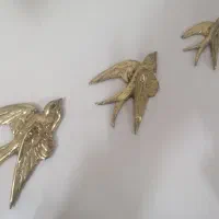 پرستو برنز