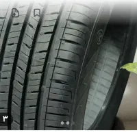 لاستیک فیدیلتی