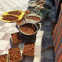 خرمایی قصب