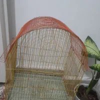 قفس پرنده