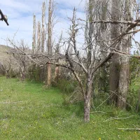 زمین-در-روستایی-جزن