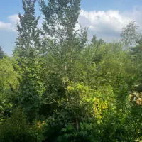 زمین مسکونی با پروانه ساخت