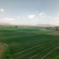 زمین تجاری مسکونی   ویو  ابدی