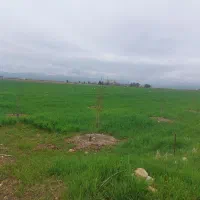 فروش باغ