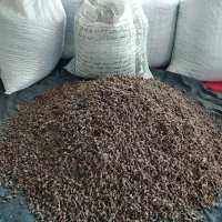 کشمش فروشی