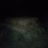 علوفه دام یونجه پرسی