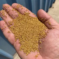 فروش بذر یونجه شبدربرسیم پایه‌بلندتضمینی قوه نامیه
