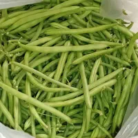 لوبیا|خوردنی و آشامیدنی|سنندج, |دیوار