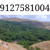 کد هفت