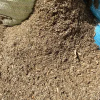 کود طبیعی و ارگانیک لاروی کمپوست بصرفه