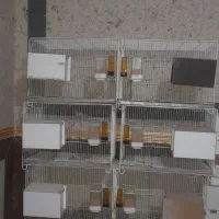 فروش لانه  کوزه و قفس