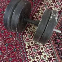 دمبل