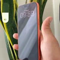 17 پرومکس