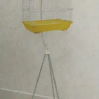لانه پرنده وقفسه