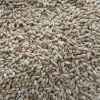 جو‌ذرت گندم دان پلت مرغ (استخر ماهی.کپور.گاوداری)