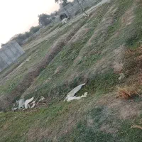 زمین دوبر