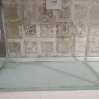 اکواریوم
