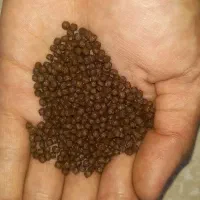 غذای ماهی ، مناسب کوی ، گلدفیش و ماهیان گوشتخوار