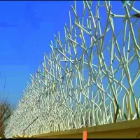 حفاظ شاخ گوزنی هشتگرد تهران دست سهیلیه کردان