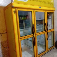 یخچال ایستاده ۶ درب موتور دانفوس