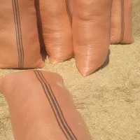 کاه دیم