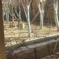 انجام کلیه امور باغبانی باکیفیت وقیمت مناسب