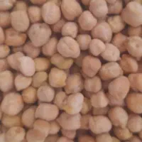 نخود گریت درجه یک یک
