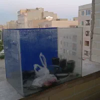 شیشه‌اکواریوم