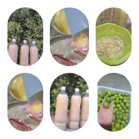 آبلیمو تازه  خونگی