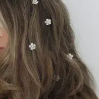 تولید کننده محتوا اکسسوری