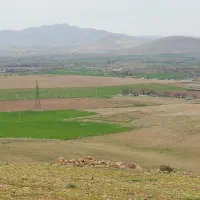 اجاره زمین کشاورزی