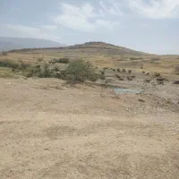 بز کهره دار