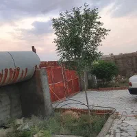 باغ-پسته